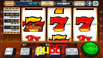 Descubra o Mundo do Cassino Online com pubet